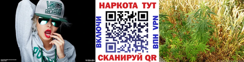 Где купить наркотики Лаишево ГАШИШ Канабис MDMA A PVP Меф КОКАИН АМФЕТАМИН
