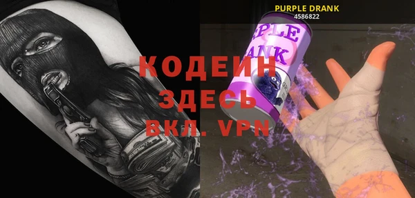 прущий лед Алзамай