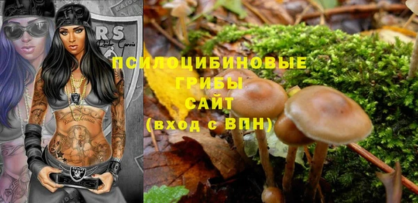 прущий лед Алзамай