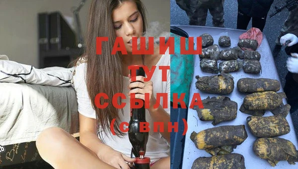 прущий лед Алзамай